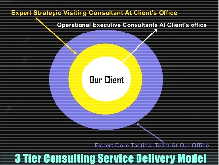 Consulting Service Delivery Strategic Model